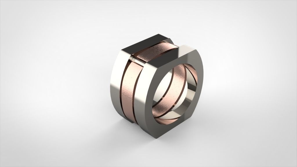 Ring Special Model Unisex Model 3D MODEL 3D print model_2