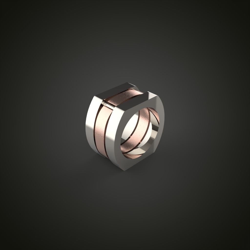 Ring Special Model Unisex Model 3D MODEL 3D print model_10