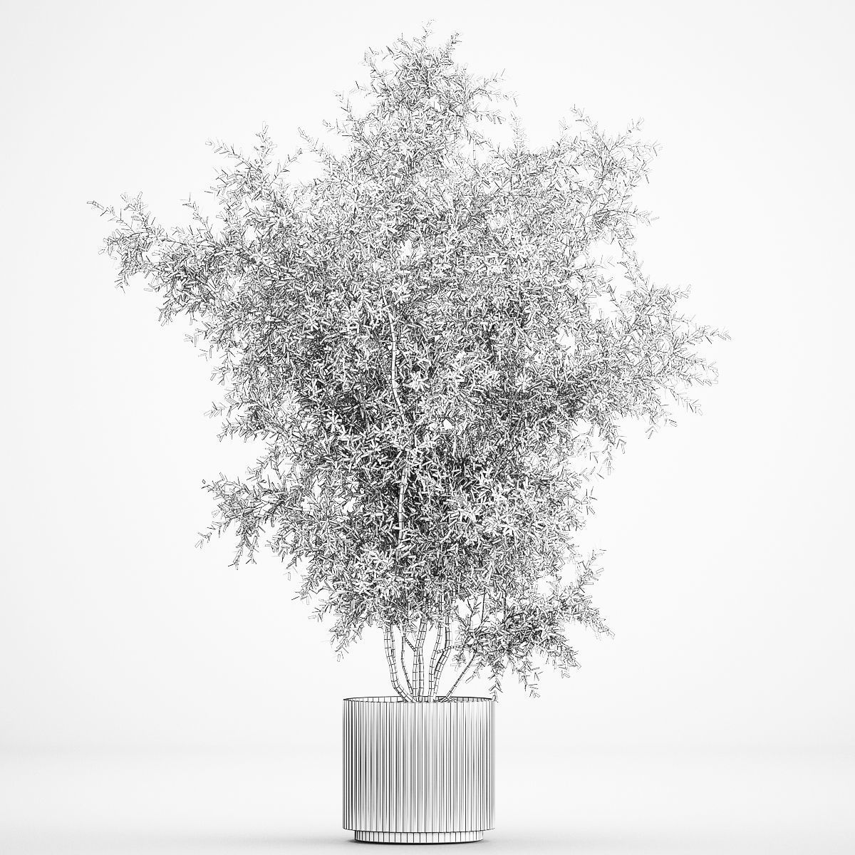 Decorative tree in flowerpots Olive and Elaeagnus 222 3D model_6