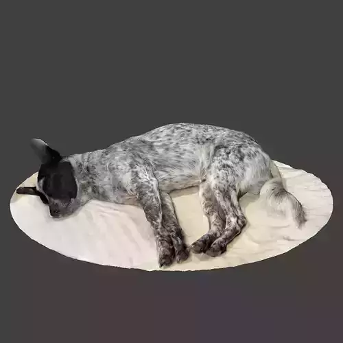 Sleeping Dog 2 - Japanese cute dog 3D print model