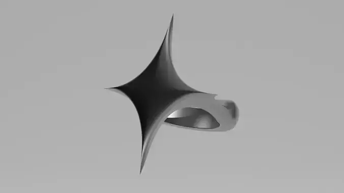 Star Ring 3D print model