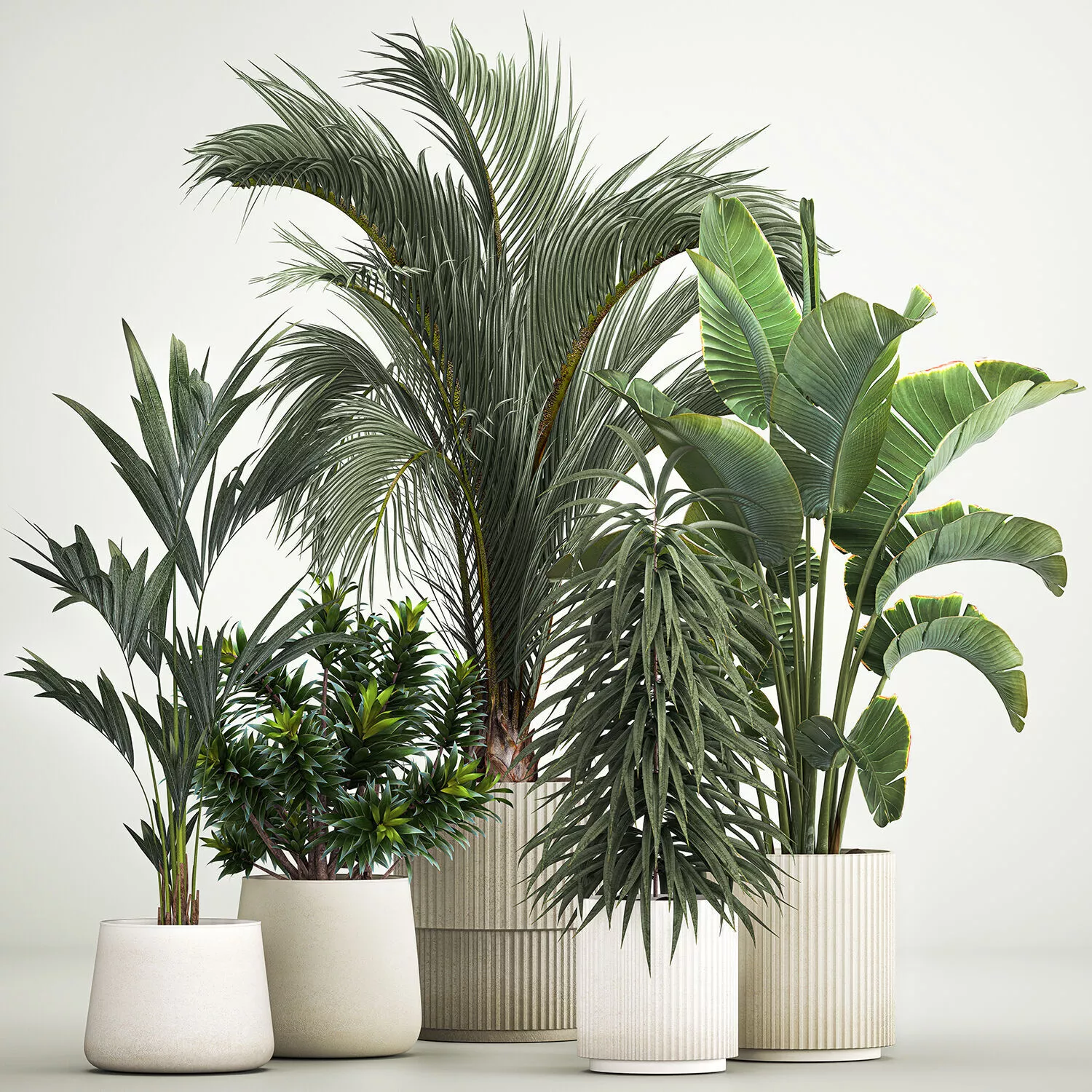 Set of plants in pots Strelitzia palm and Dracaena 1223 3D model