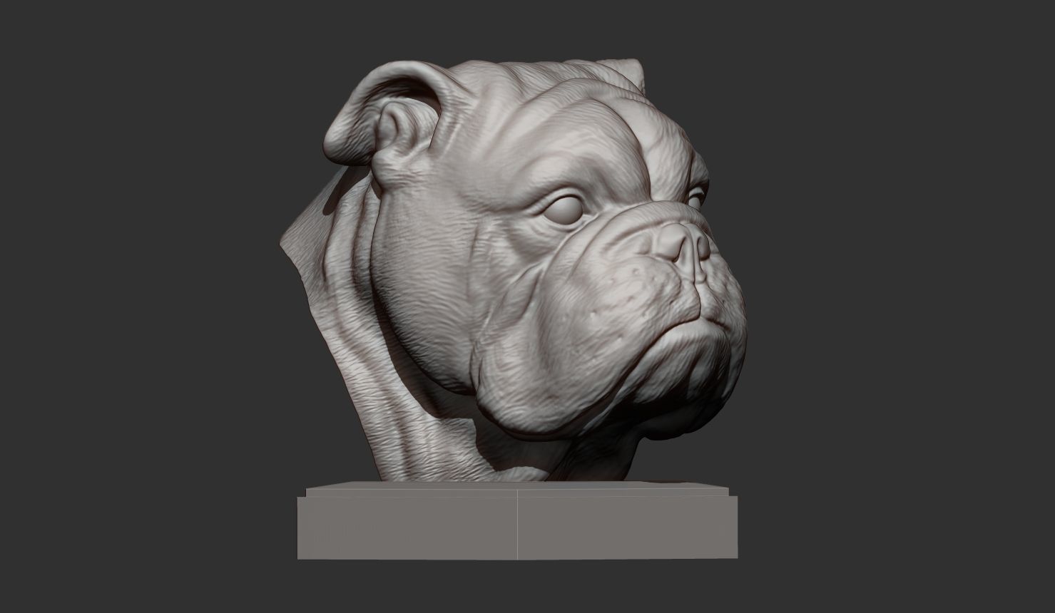 English bulldog 3D print model_7