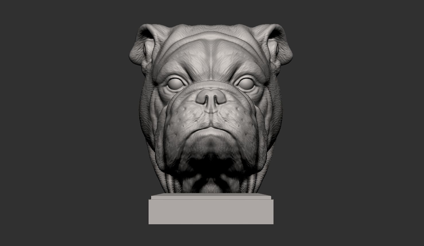 English bulldog 3D print model_5