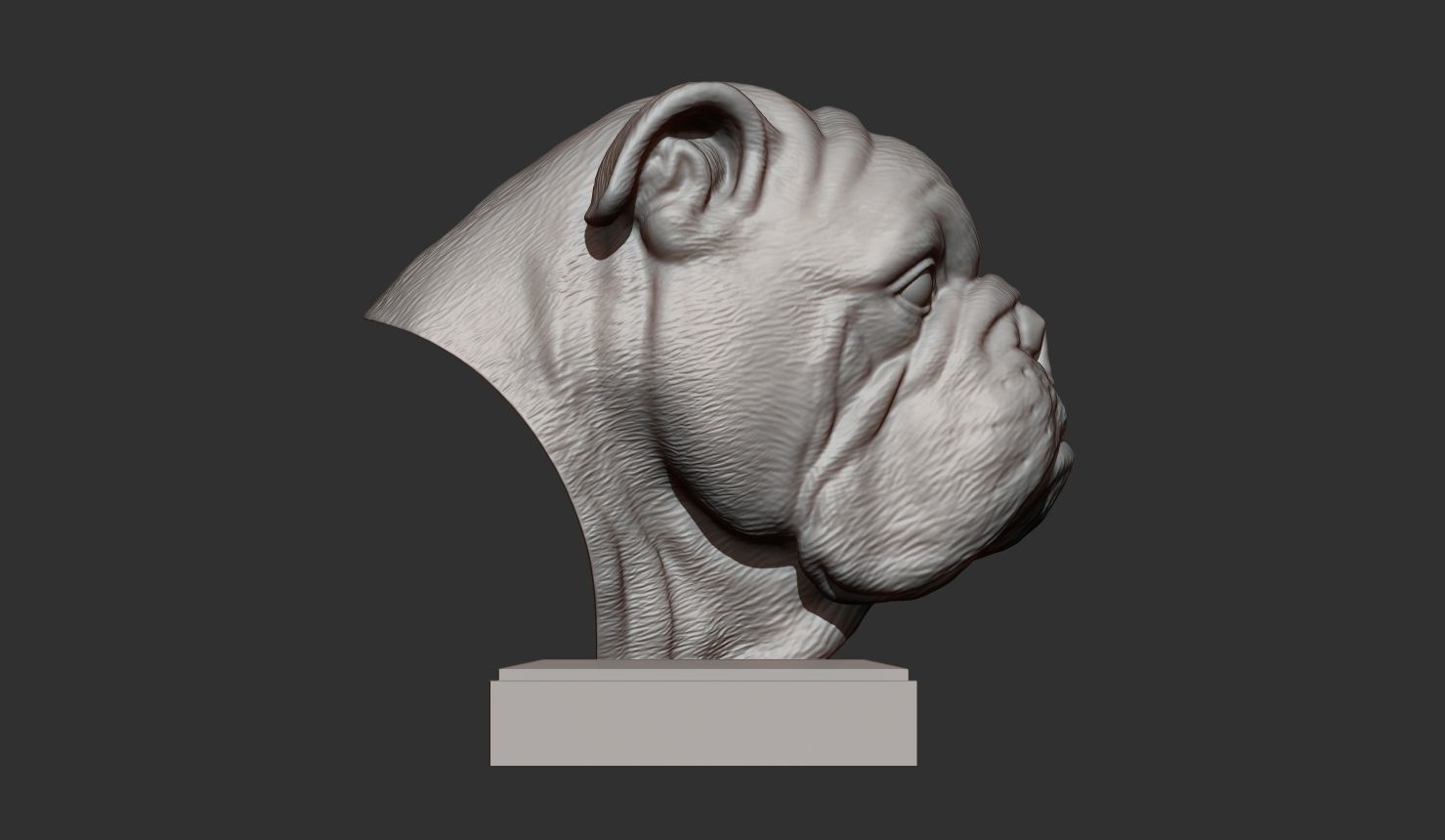 English bulldog 3D print model_4