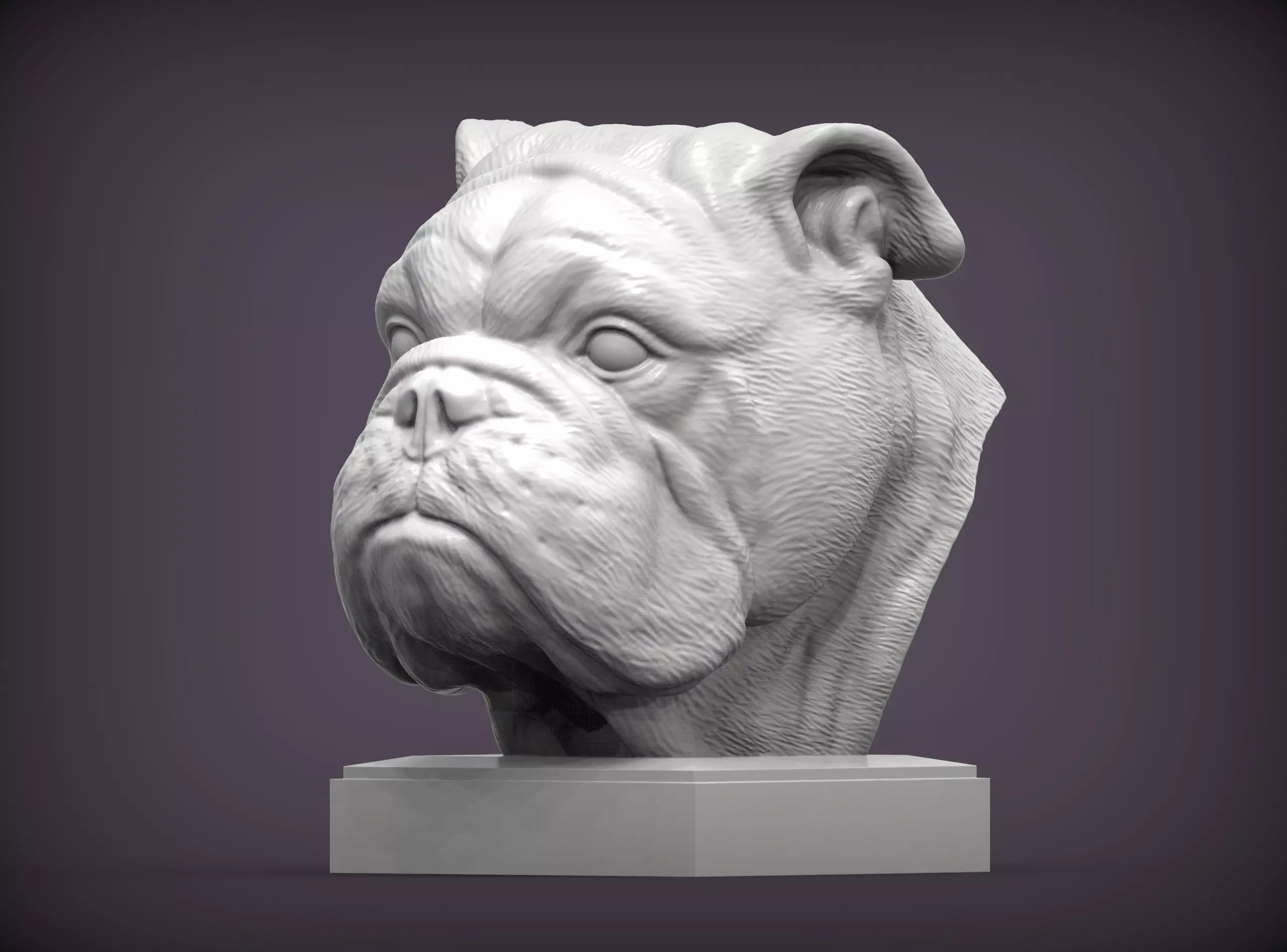 English bulldog 3D print model_0