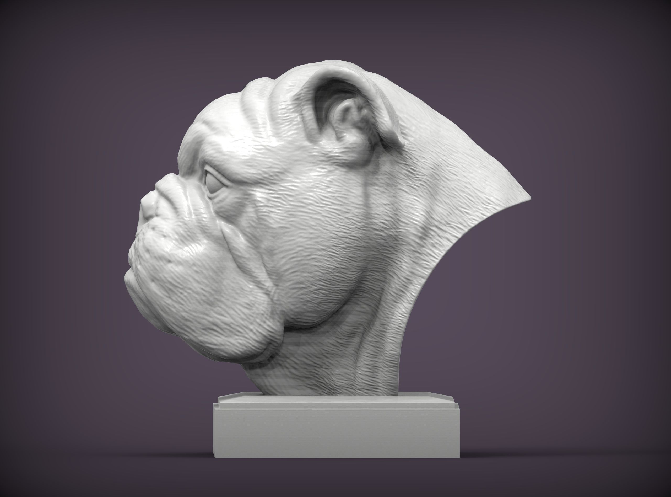 English bulldog 3D print model_1
