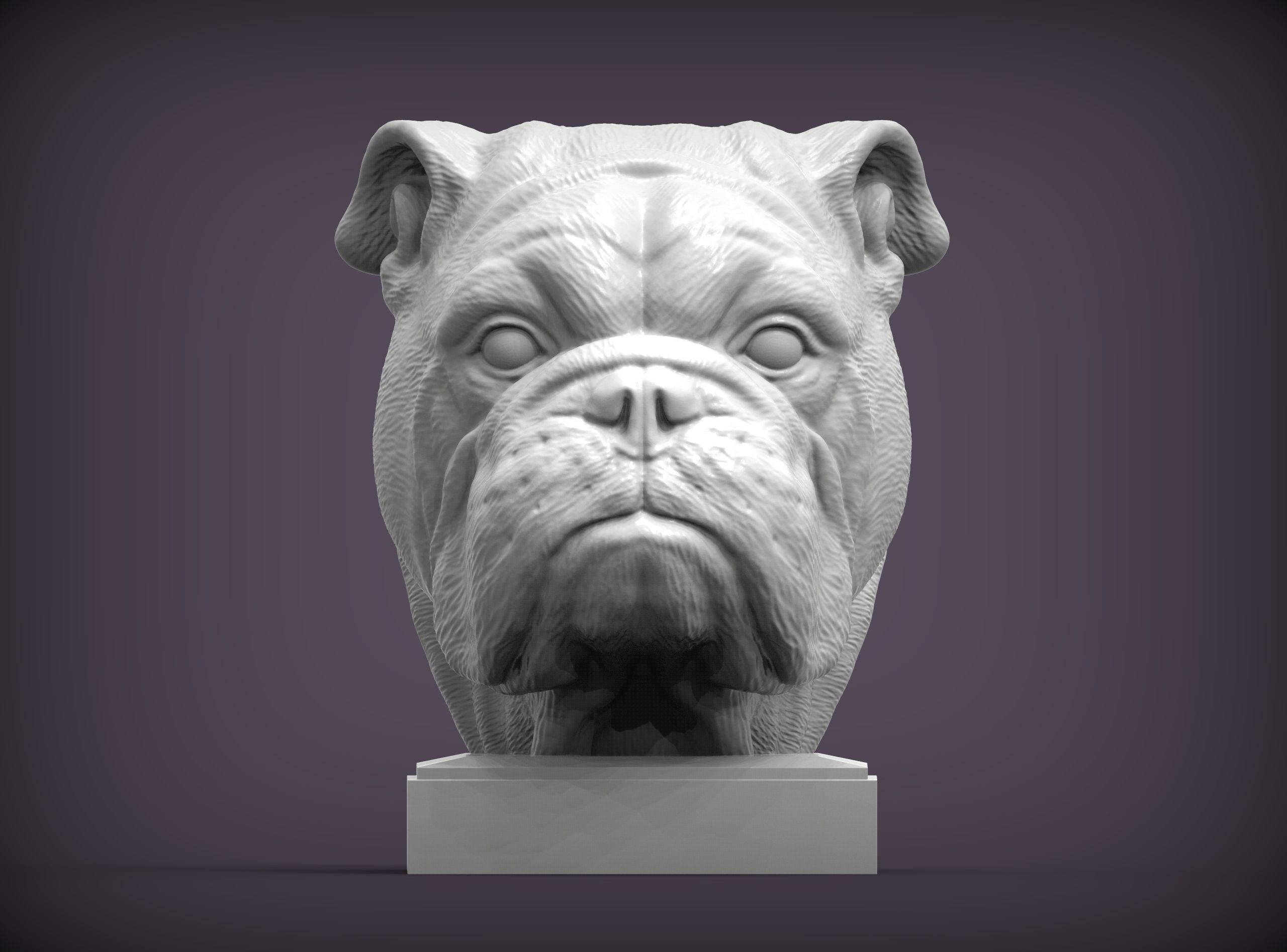 English bulldog 3D print model_3