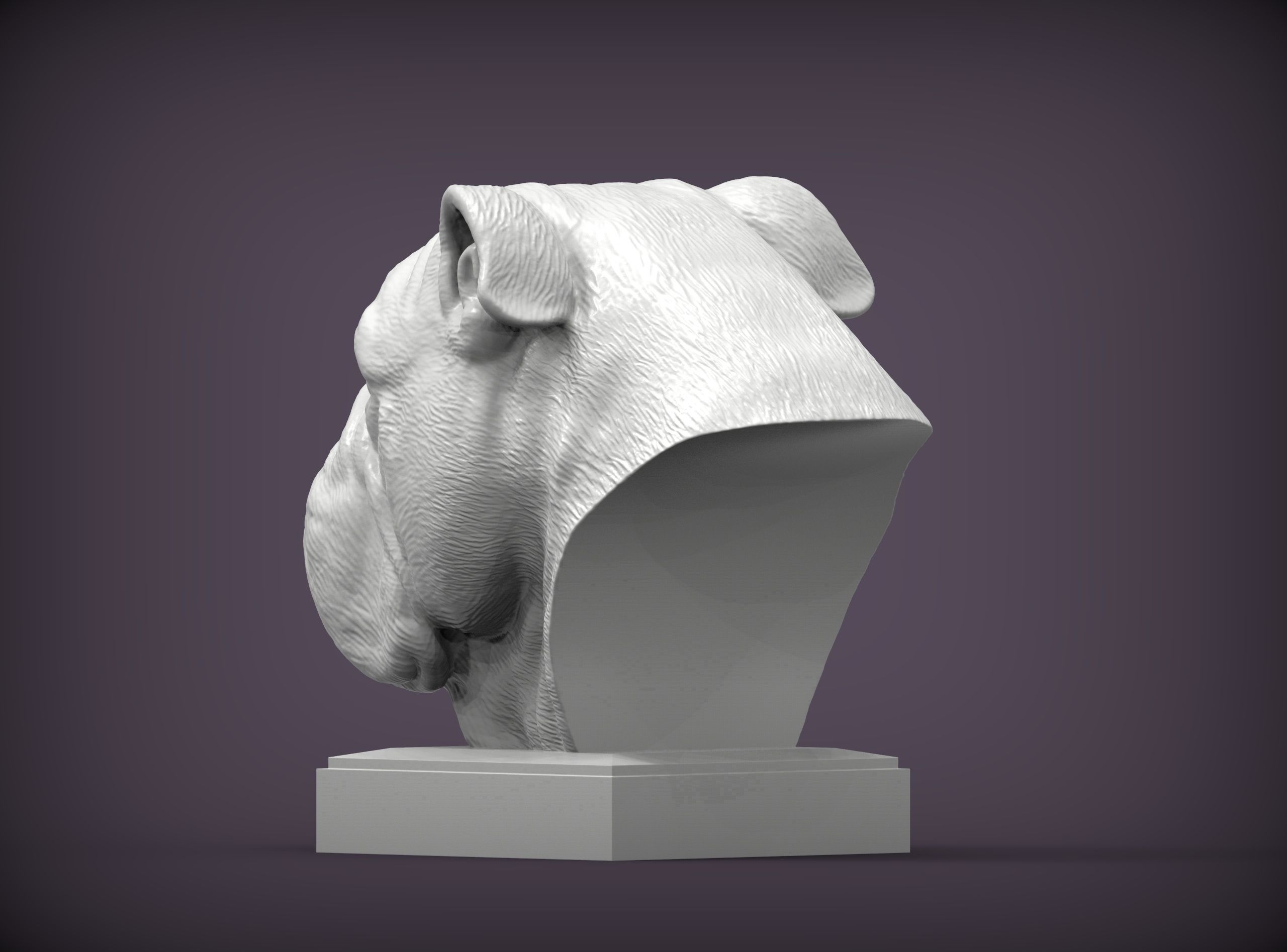 English bulldog 3D print model_2