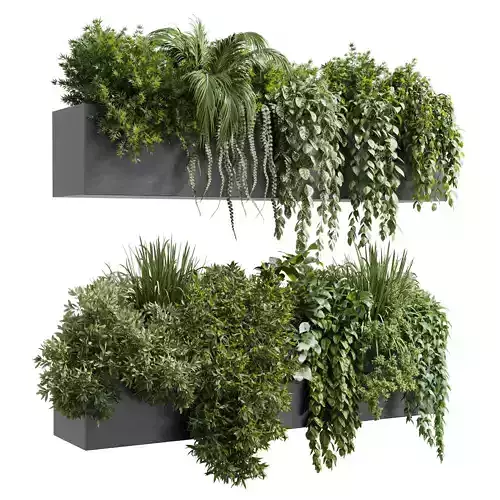 wall plant hanging plants collection Indoor plant 