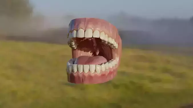 3D realistic Jaw mouth with teeth