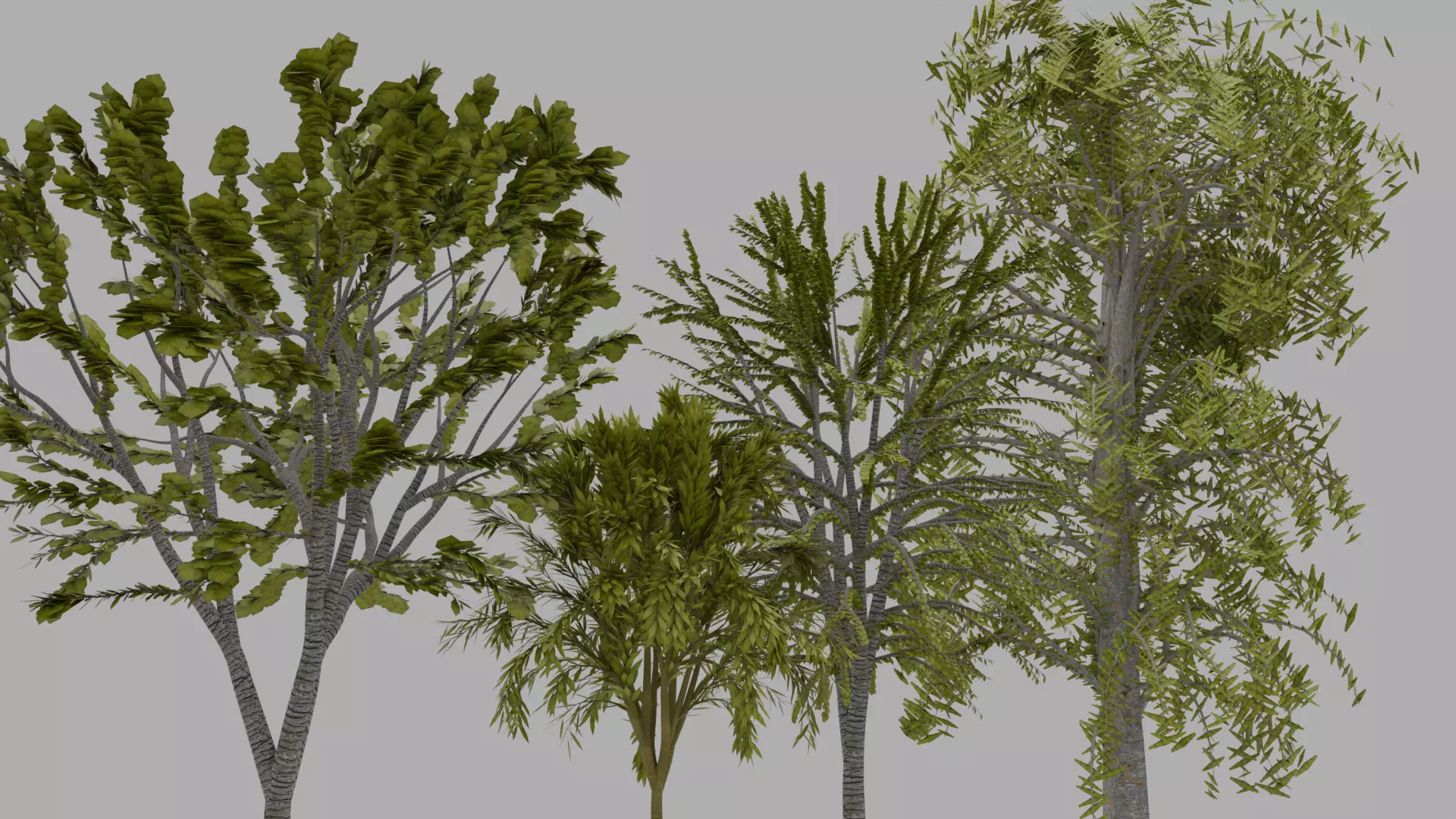 3D Model Trees Textured 3D model