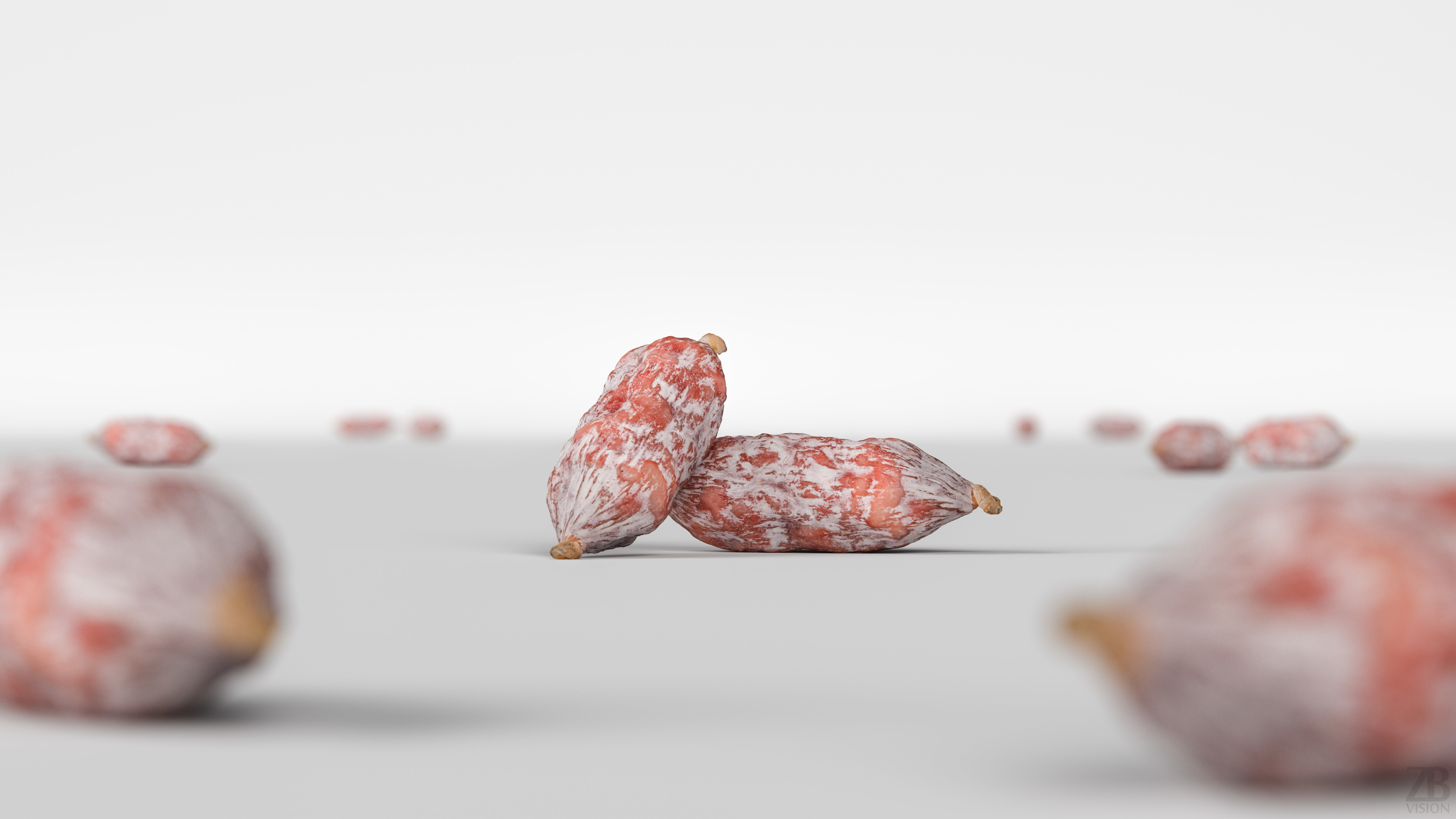 Fuet Salami 3D model_1