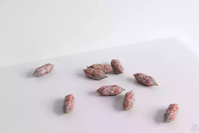 Fuet Salami 3D model
