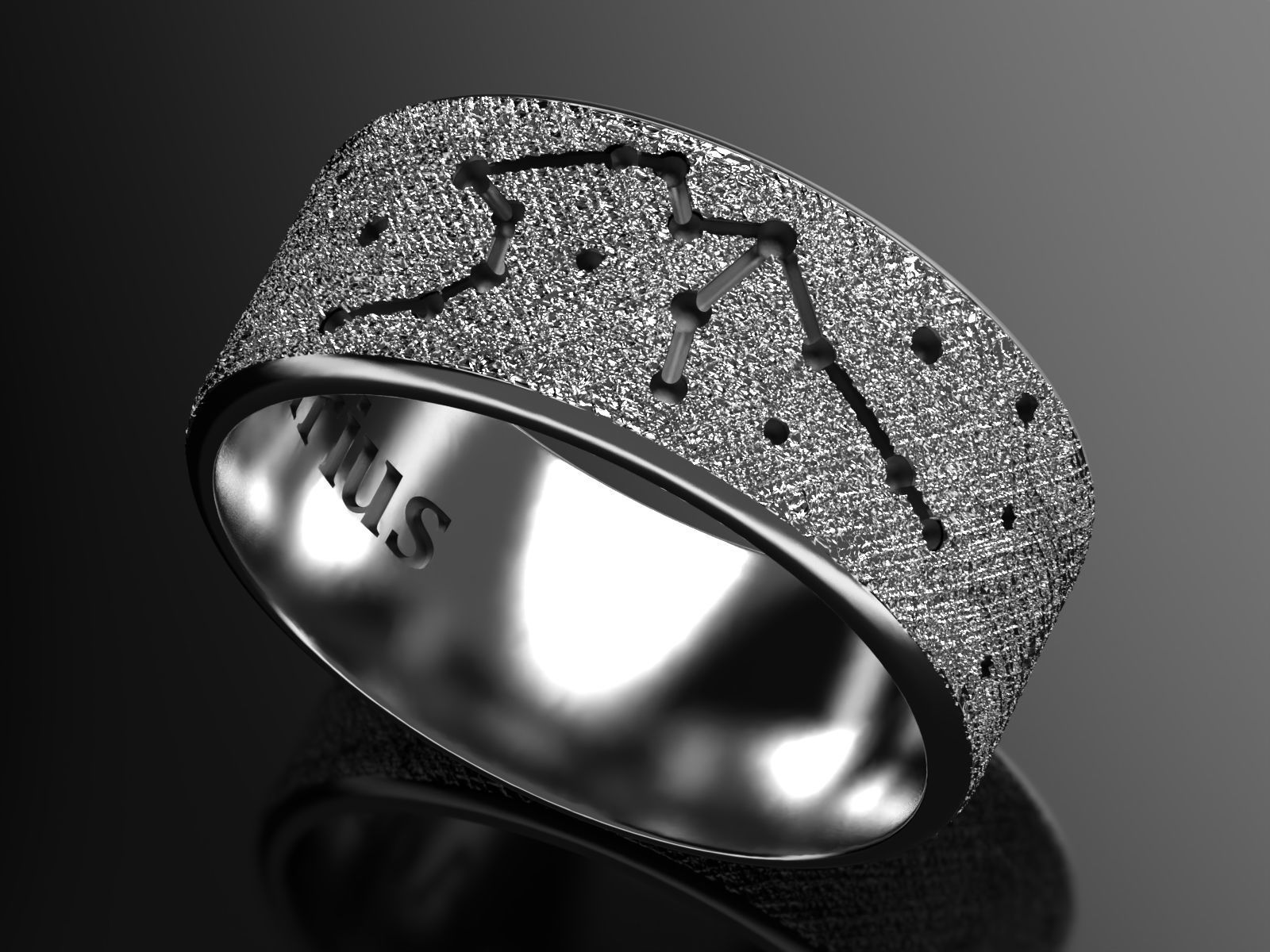 Aquarius silver ring with constellations 3D print model_4