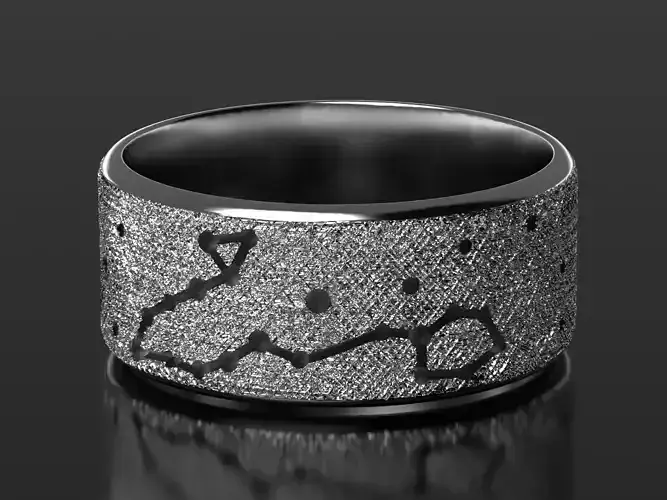 Pisces silver ring with constellations 3D print model