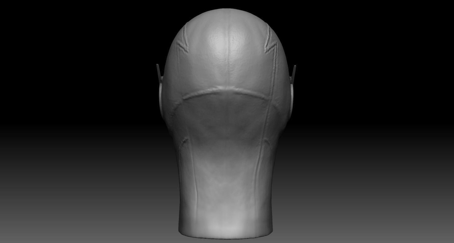 Reverse Flash Headsculpt 3D print model_4