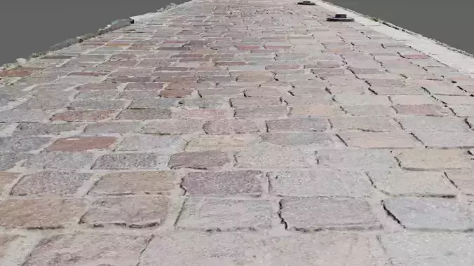Street cobblestone granite sidewalk raw scan 3D model