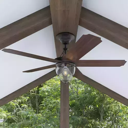 Ceiling fan with light