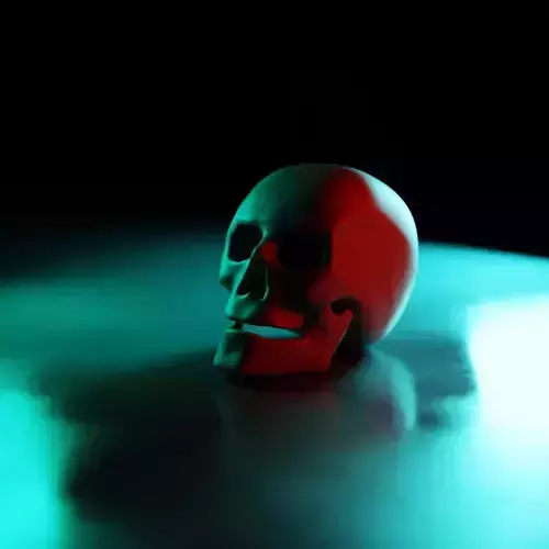 Human Skull 3D model