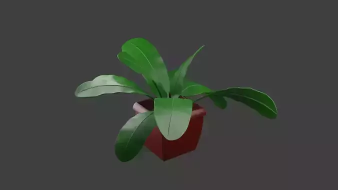 Houseplant 3D Model plant in pot
