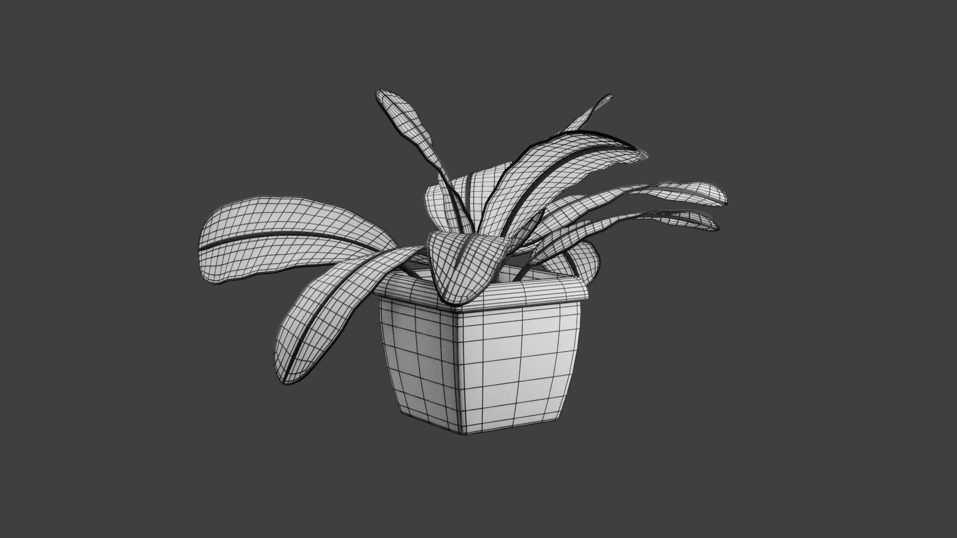 Houseplant 3D Model plant in pot 3D print model_7