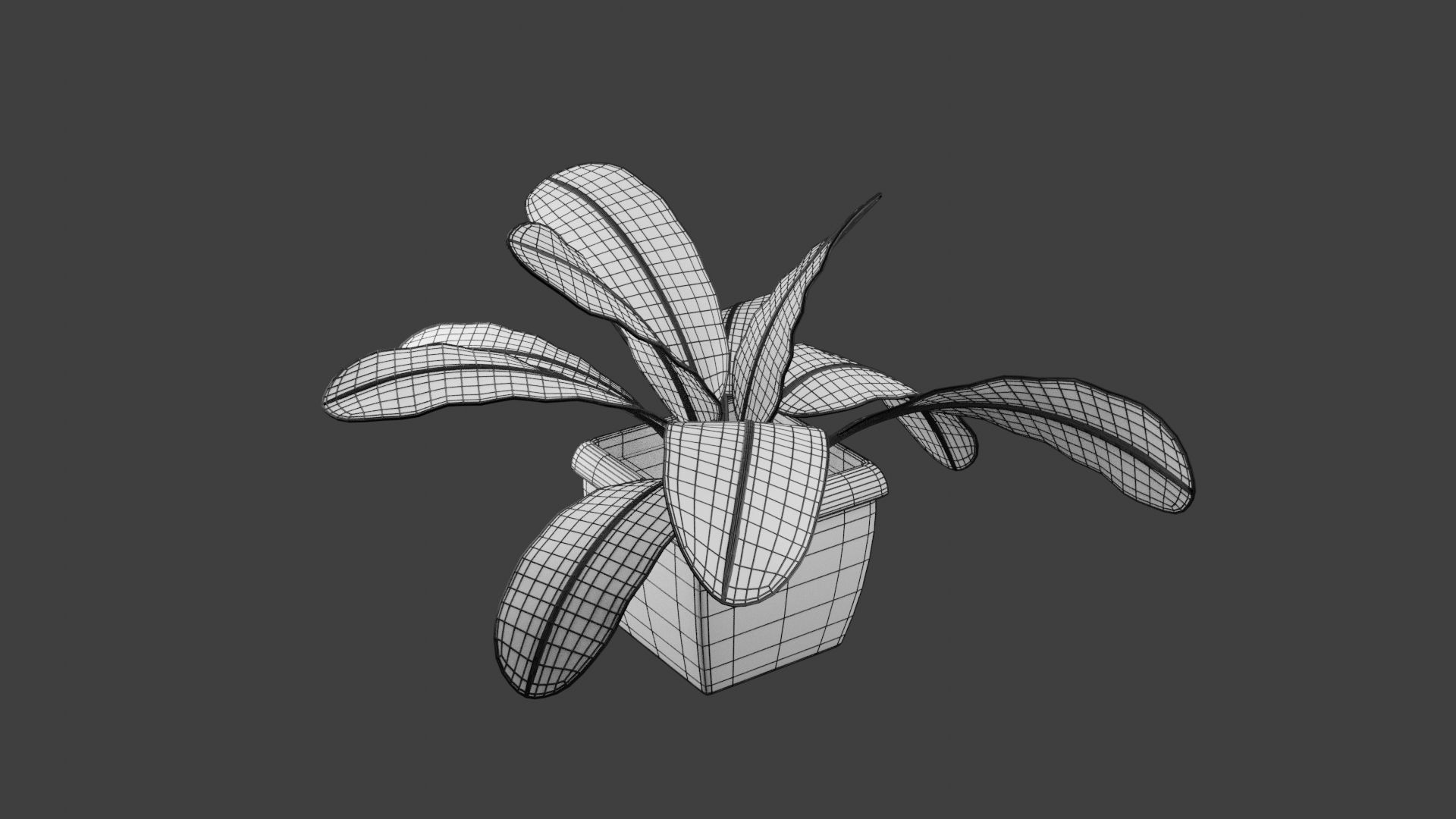 Houseplant 3D Model plant in pot 3D print model_5