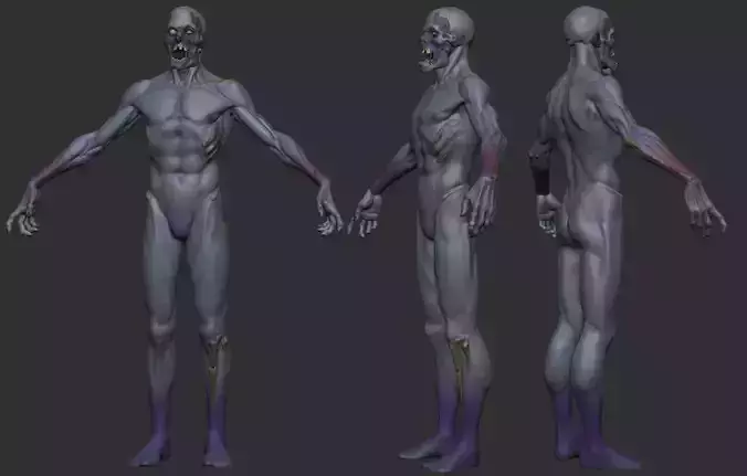 Base Mesh Zombie
