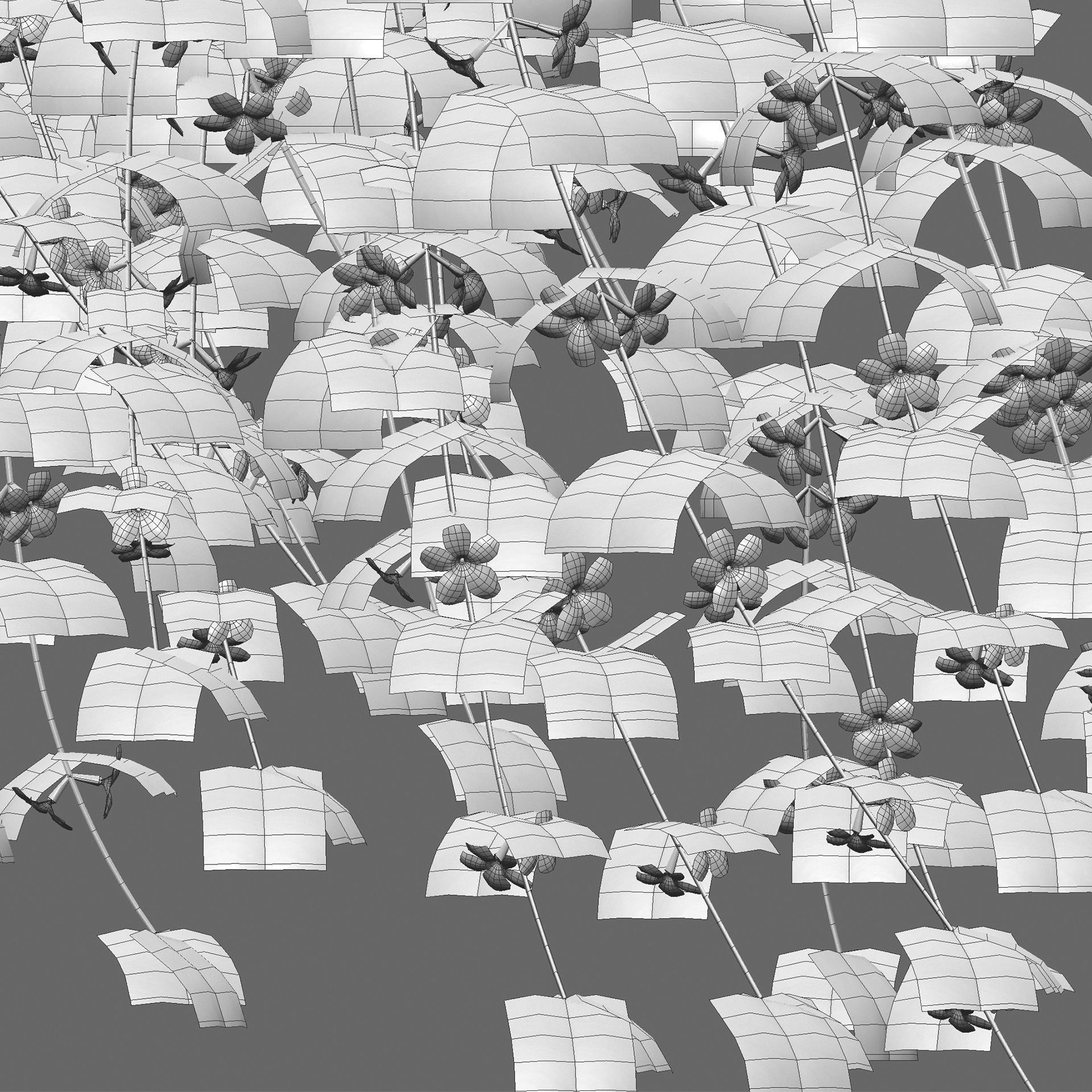 Jasminum mesnyi - Primrose Jasmine 02 3D model_3