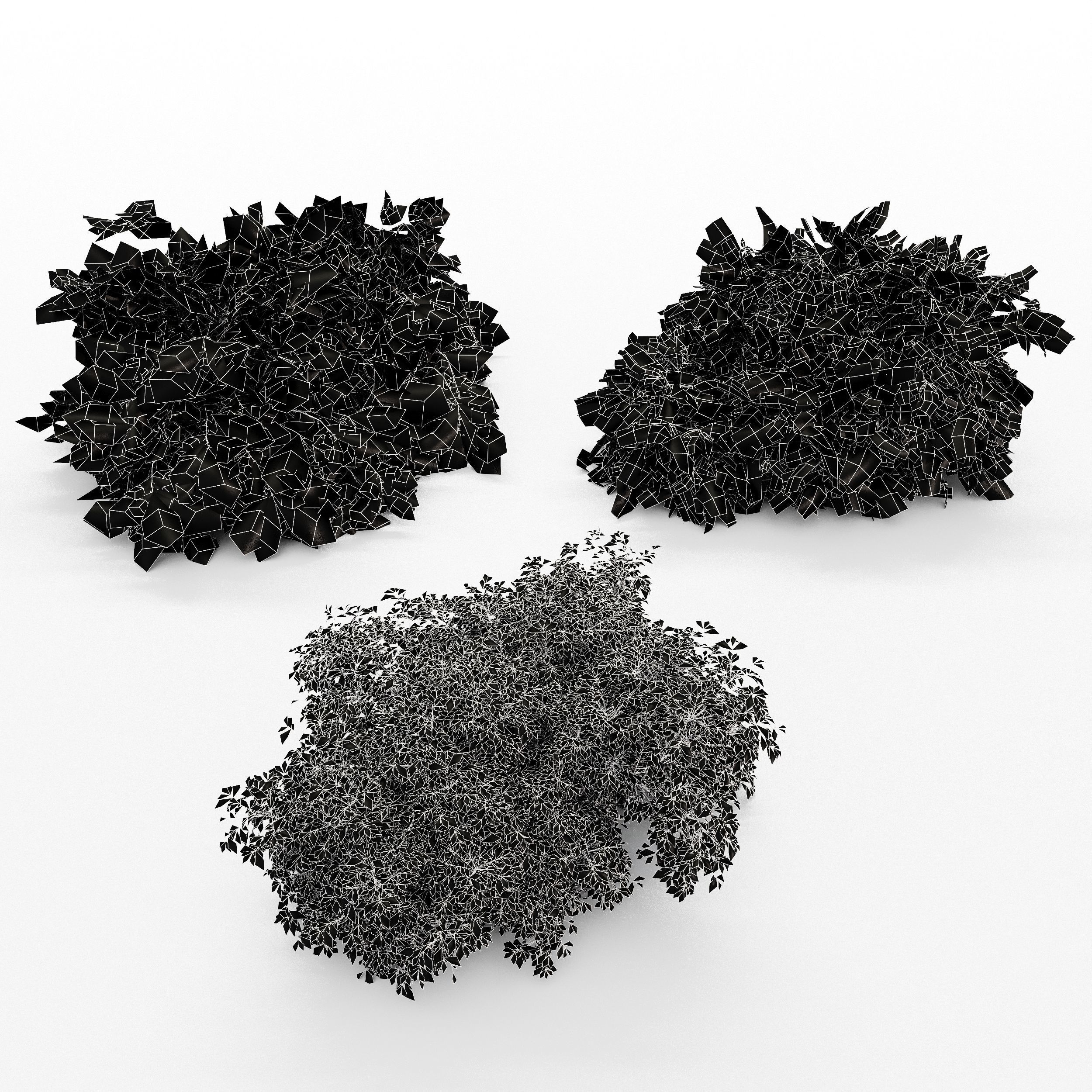 Coronilla Valentina Glauca Golden Globe Dwarf Thuja Spruce 3D model_4