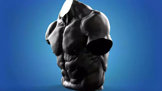 Muscle Man Torso 3D print model
