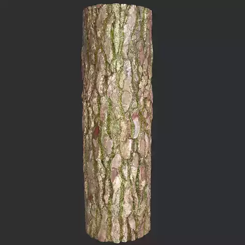 Wet Mossy Tree Bark 4K PBR Textures