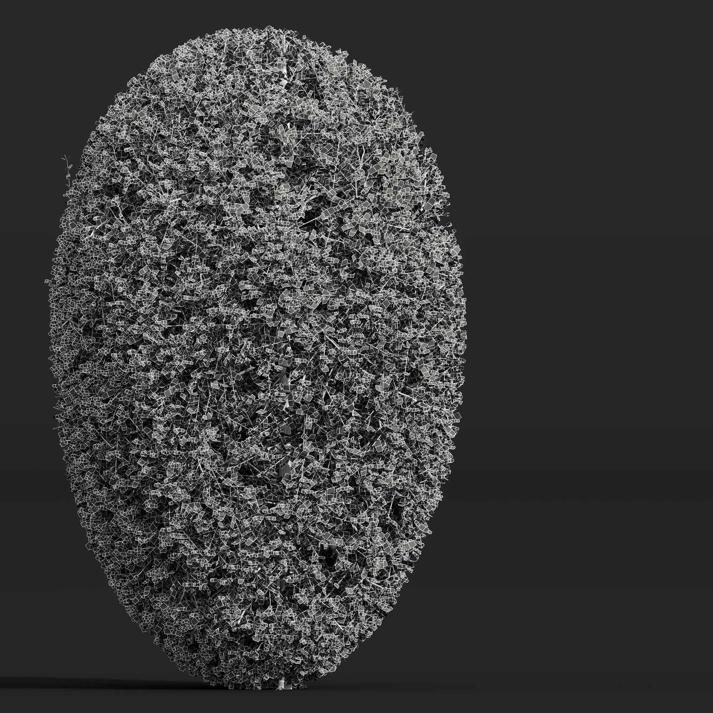 Bonsai Pruned 3D model_4