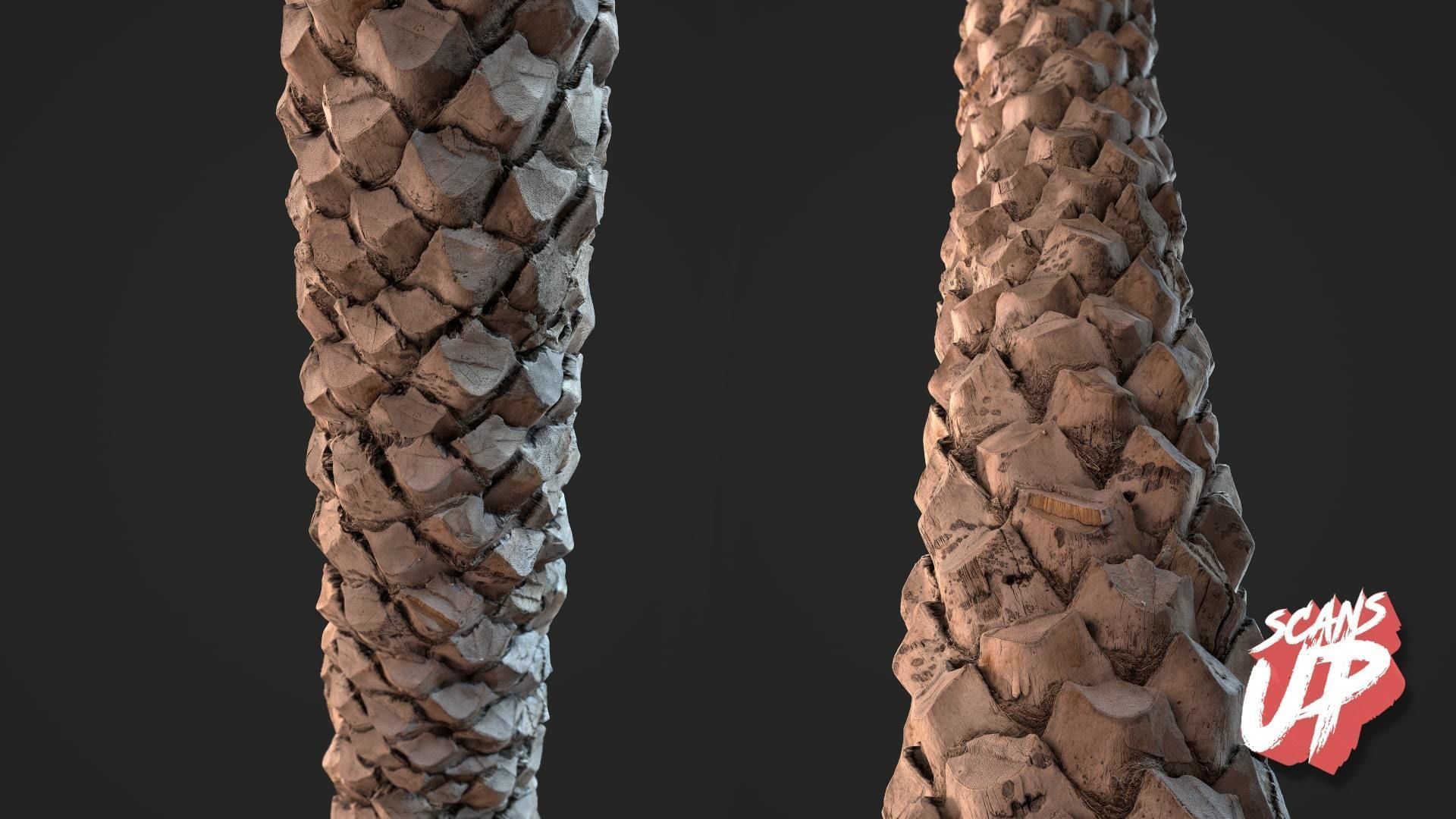 Palm Bark Pack 01 - Stonelake3D Texture_5