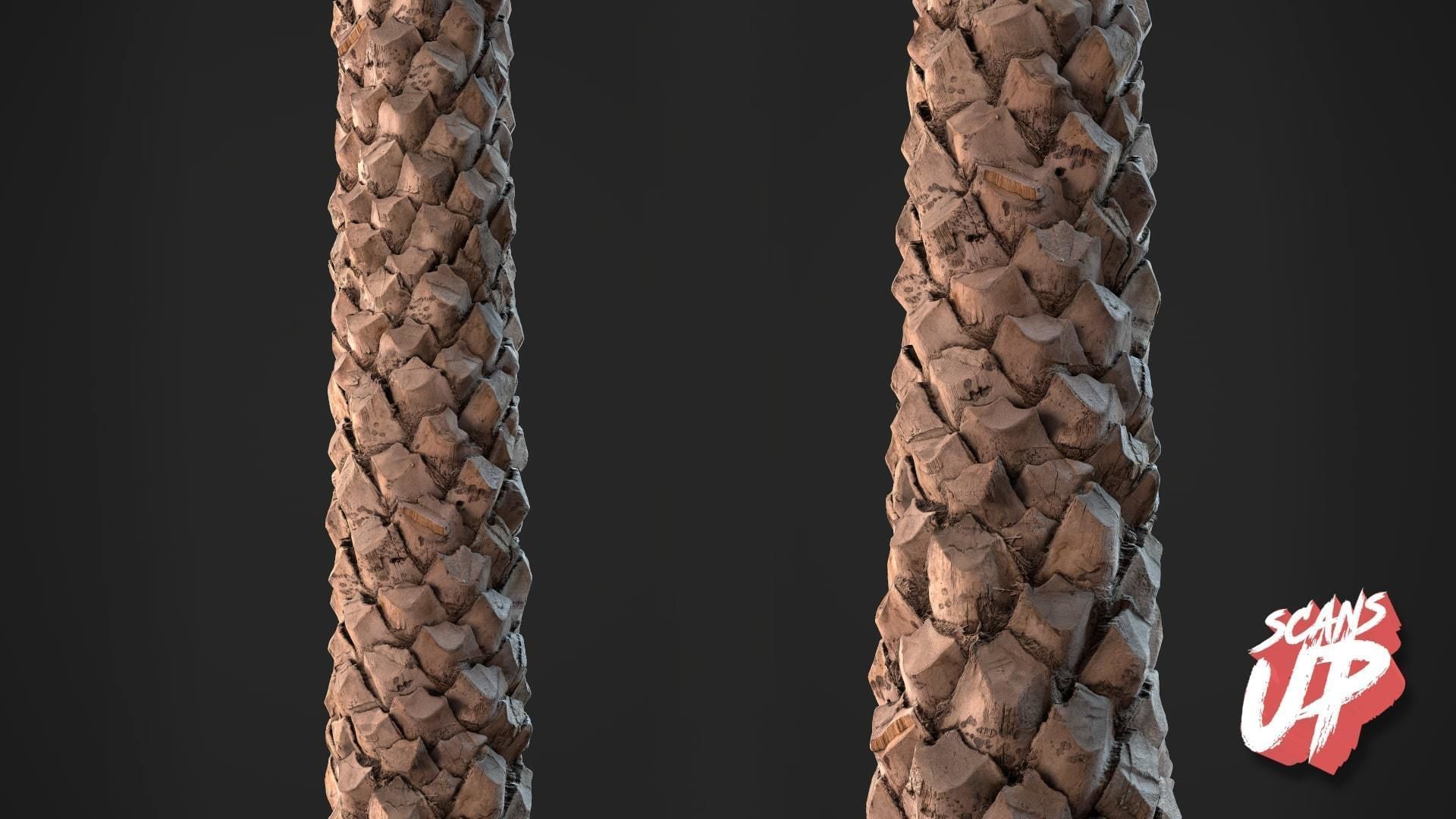 Palm Bark Pack 01 - Stonelake3D Texture_3