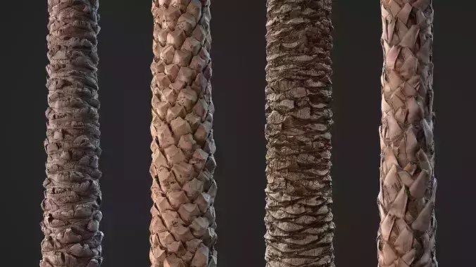 Palm Bark Pack 01 - Stonelake3D  Texture