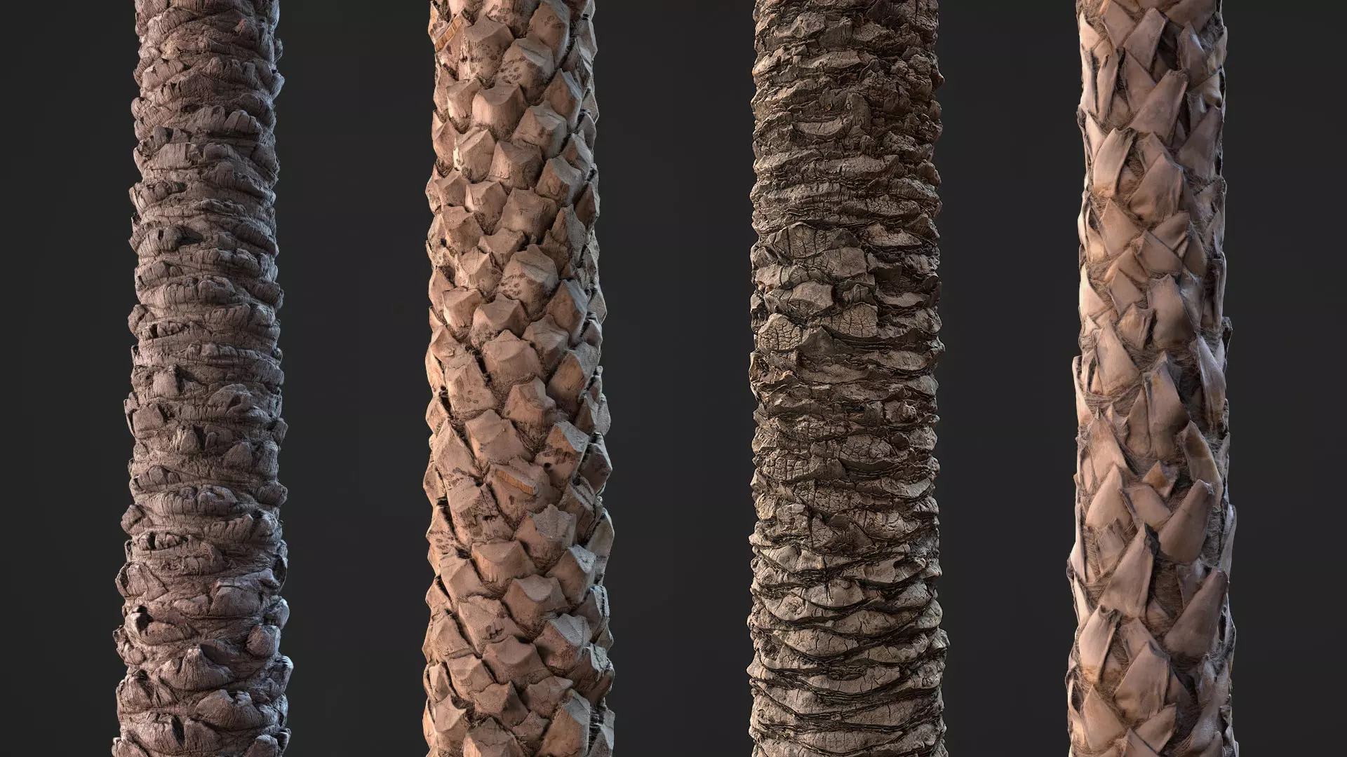 Palm Bark Pack 01 - Stonelake3D Texture_0