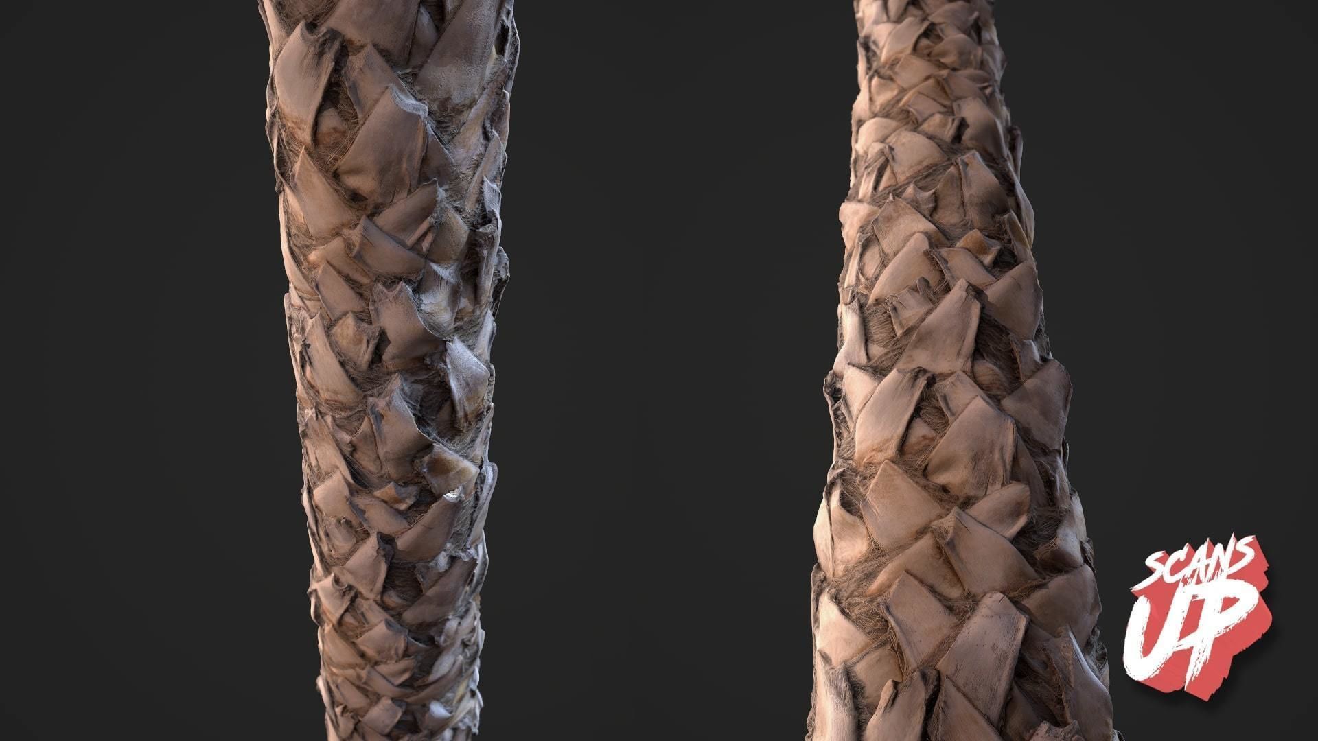 Palm Bark Pack 01 - Stonelake3D Texture_6