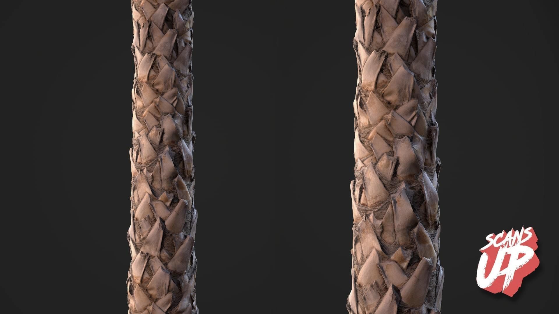 Palm Bark Pack 01 - Stonelake3D Texture_4