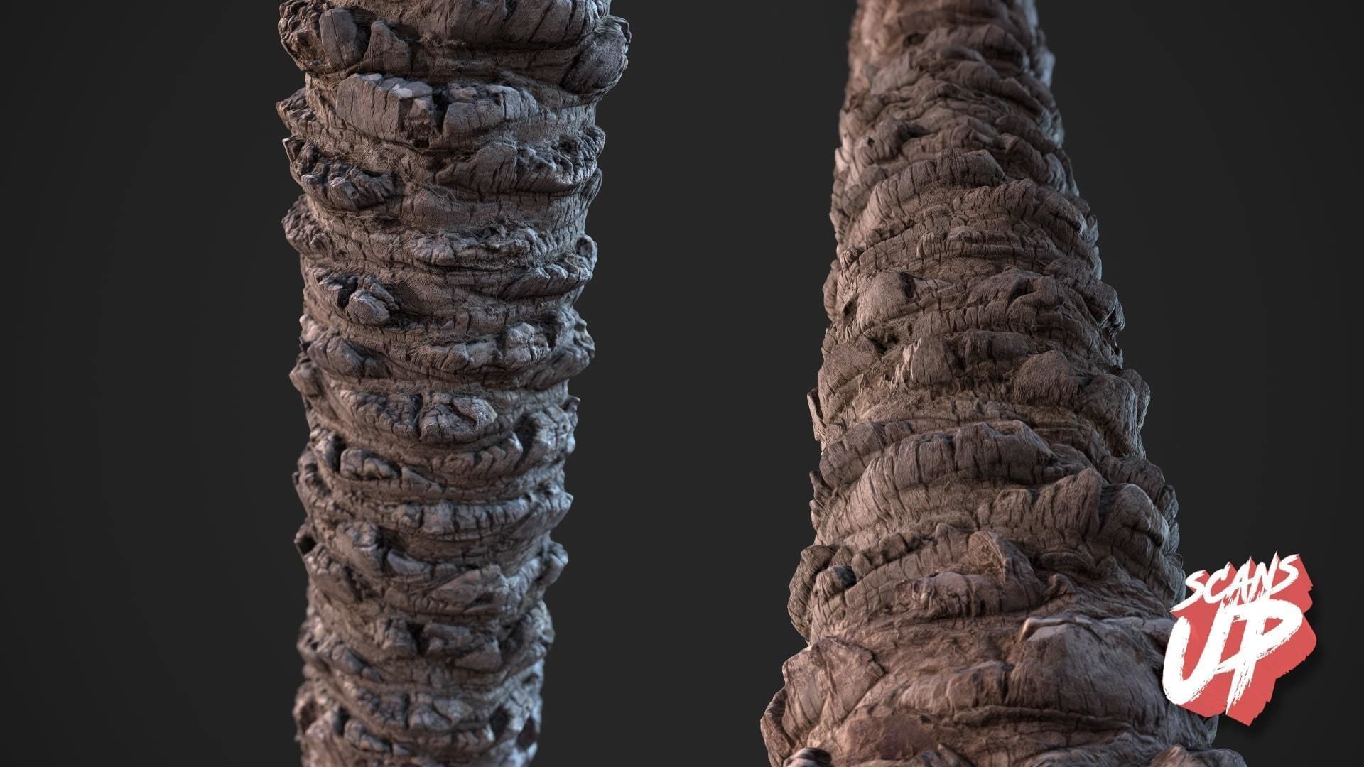 Palm Bark Pack 01 - Stonelake3D Texture_2