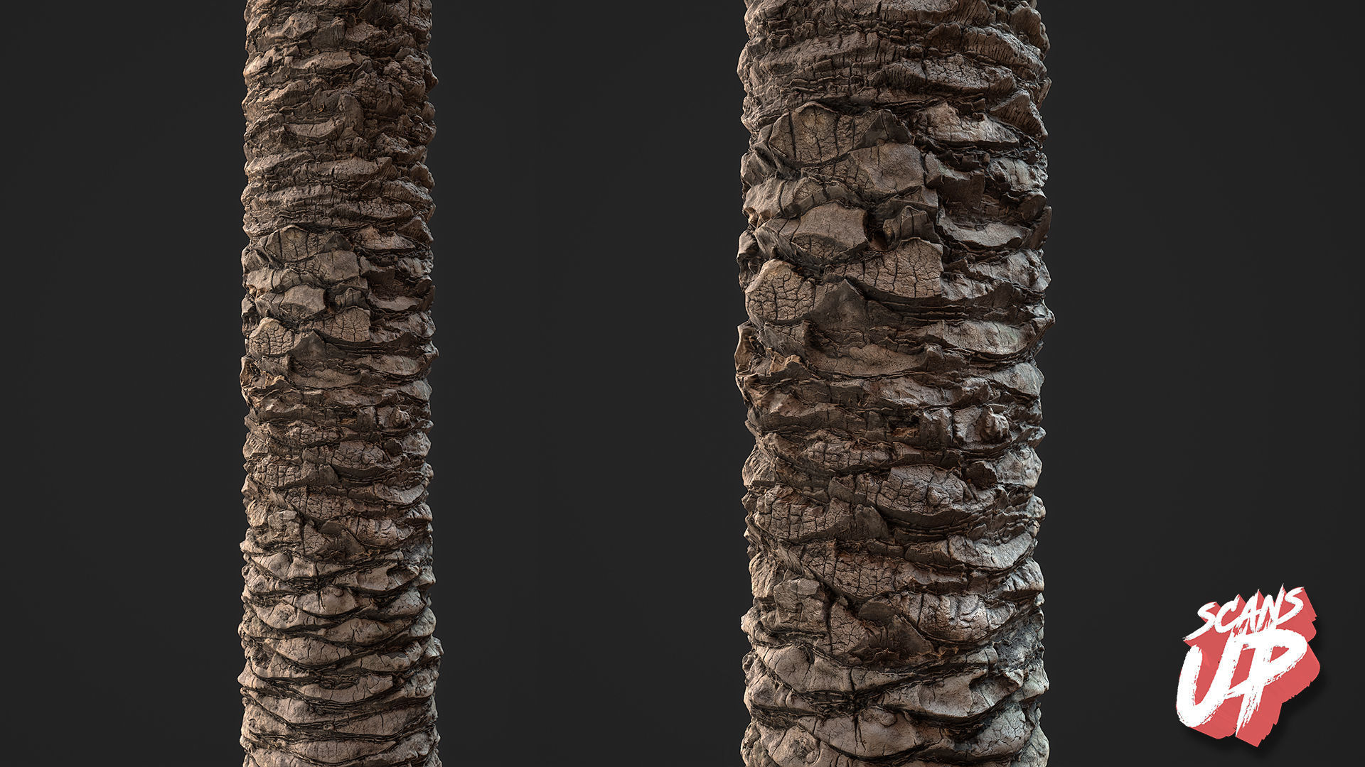 Palm Bark Pack 01 - Stonelake3D Texture_7