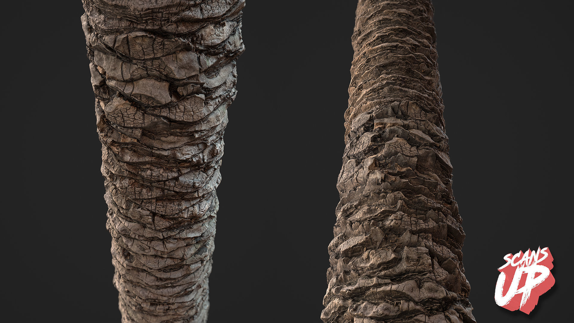 Palm Bark Pack 01 - Stonelake3D Texture_8