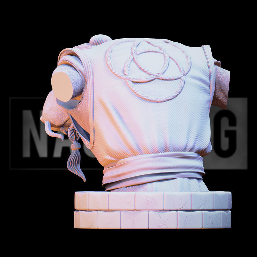 Fan Art Splinter from TMNT - Bust Version 3D print model_10