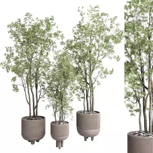 Indoor plant set 360 concrete vase plant tree shrub 