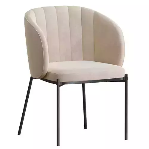 Shell Back Dining Chair