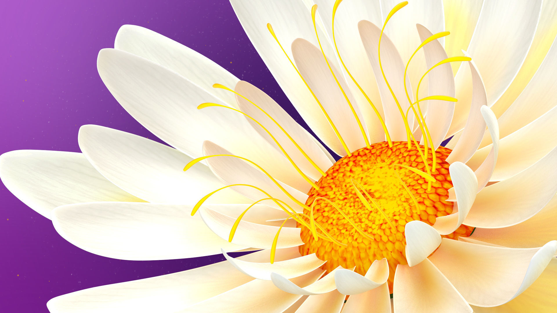 Beautiful Animated White Daisy Flower 3D model_9