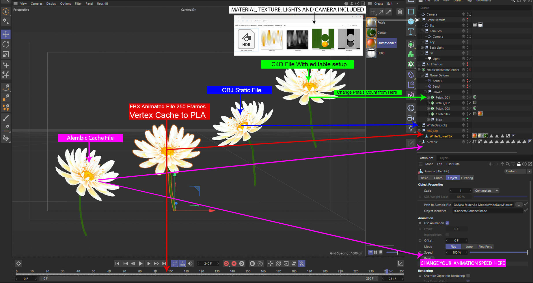 Beautiful Animated White Daisy Flower 3D model_3