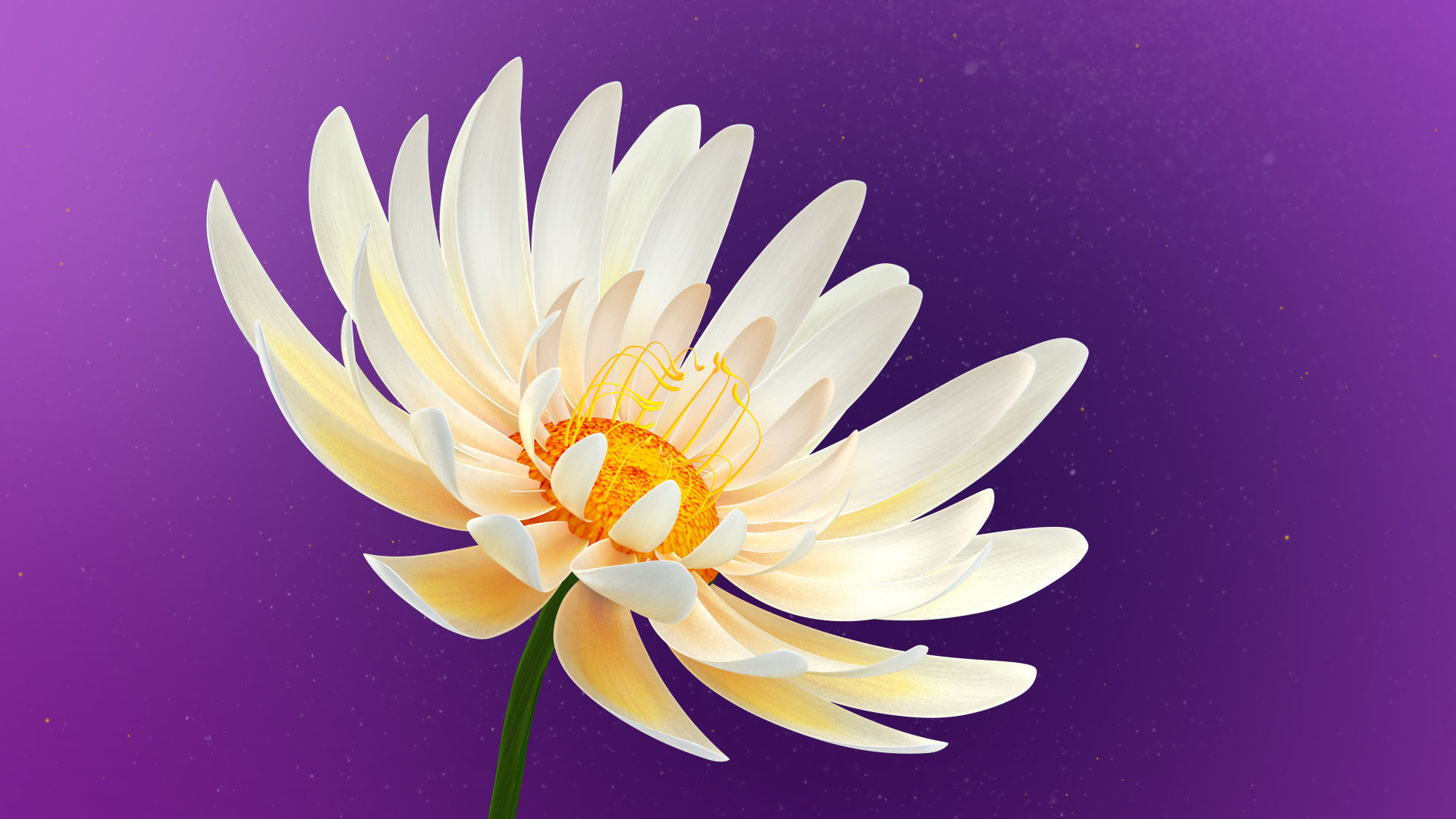 Beautiful Animated White Daisy Flower 3D model_4