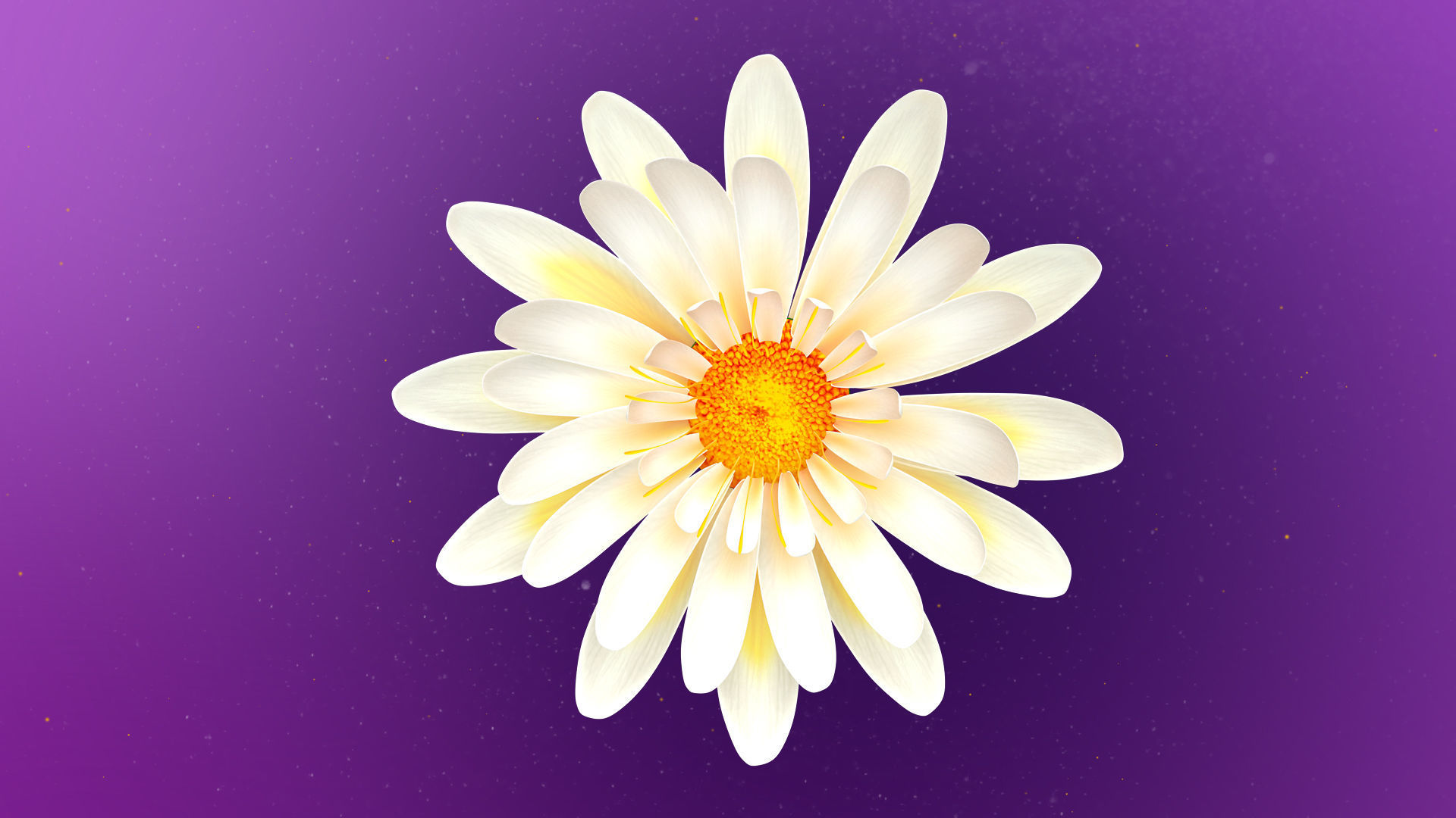 Beautiful Animated White Daisy Flower 3D model_10