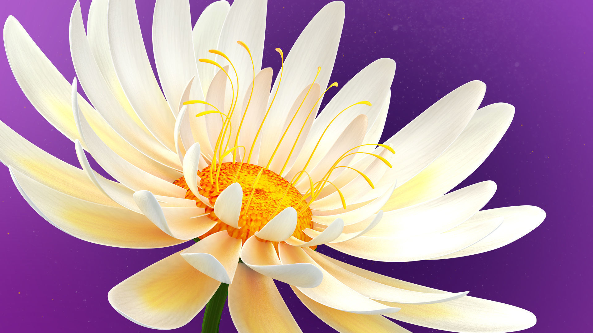 Beautiful Animated White Daisy Flower 3D model_8